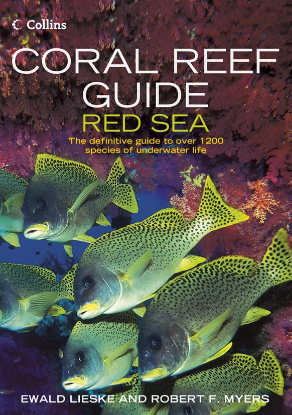 Algopix Similar Product 3 - Coral Reef Guide Red Sea