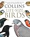Algopix Similar Product 5 - Collins LifeSize Birds The Only Guide