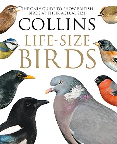 Algopix Similar Product 10 - Collins LifeSize Birds The Only Guide