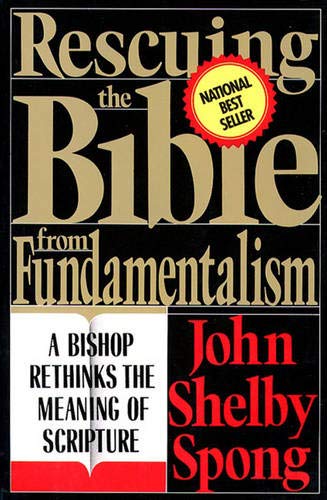 Algopix Similar Product 7 - Rescuing the Bible from Fundamentalism