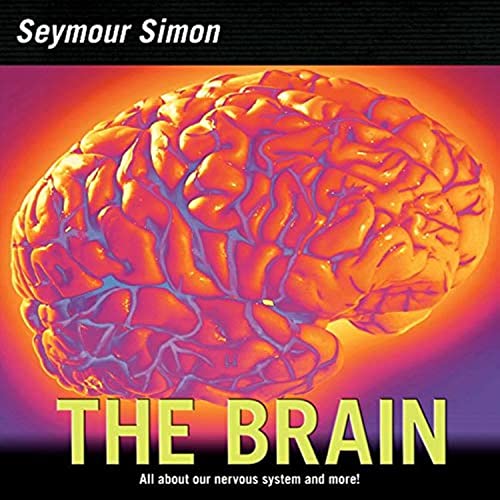 Algopix Similar Product 7 - The Brain All about Our Nervous System