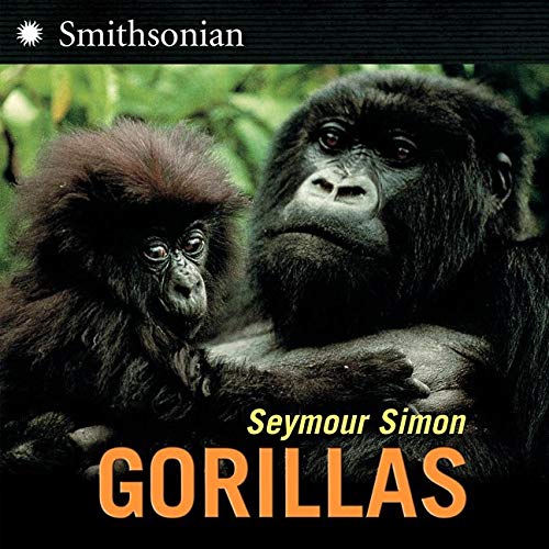 Algopix Similar Product 11 - Gorillas