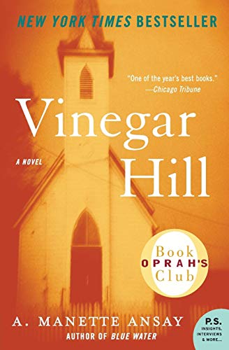 Algopix Similar Product 6 - Vinegar Hill (P.S.)