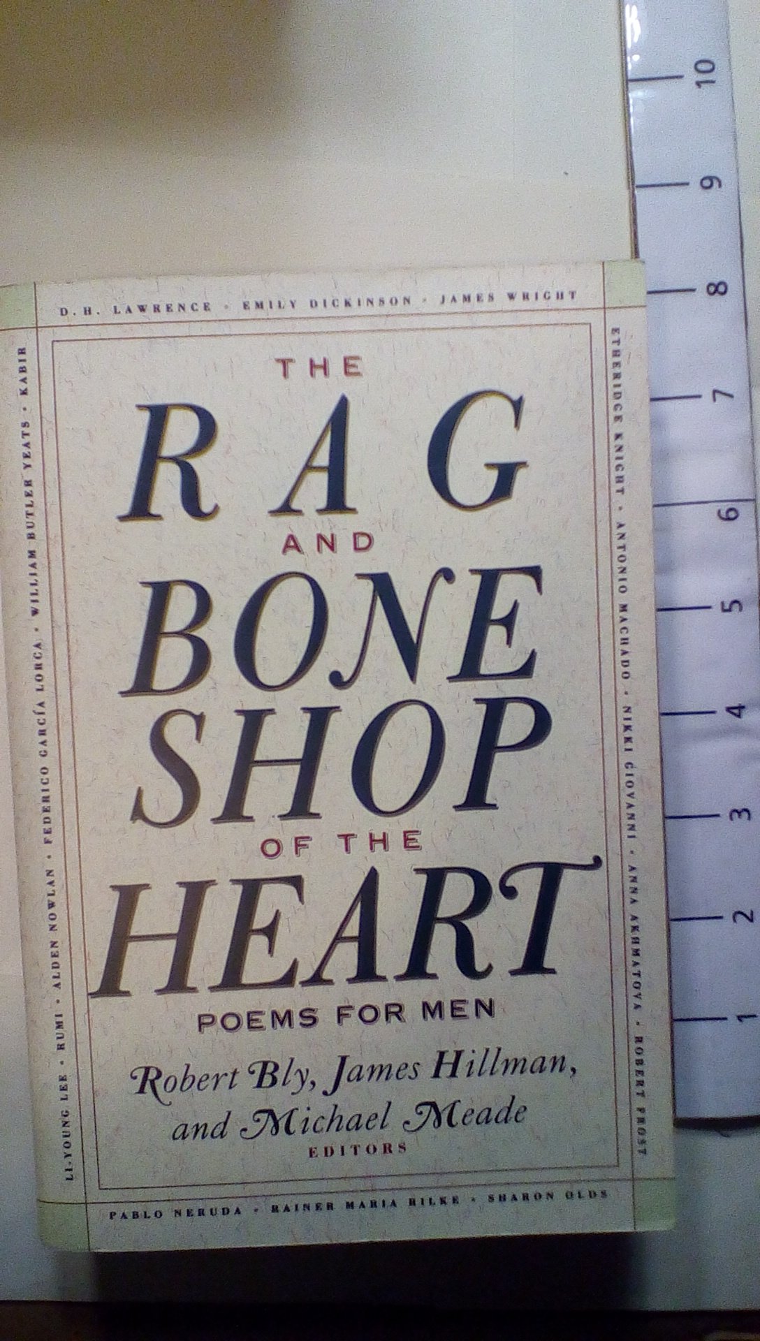 Algopix Similar Product 17 - The Rag and Bone Shop of the Heart A