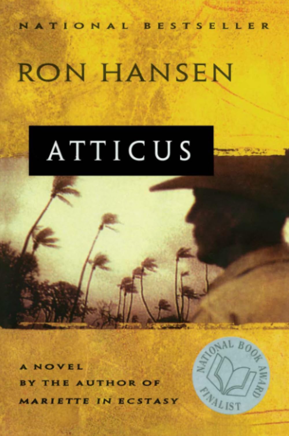 Algopix Similar Product 18 - Atticus: A Novel