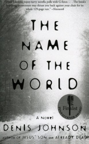 Algopix Similar Product 5 - The Name of the World: A Novel