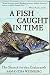 Algopix Similar Product 9 - A Fish Caught in Time The Search for
