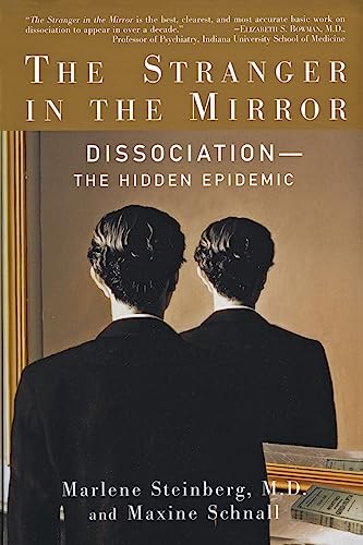 Algopix Similar Product 5 - The Stranger In The Mirror