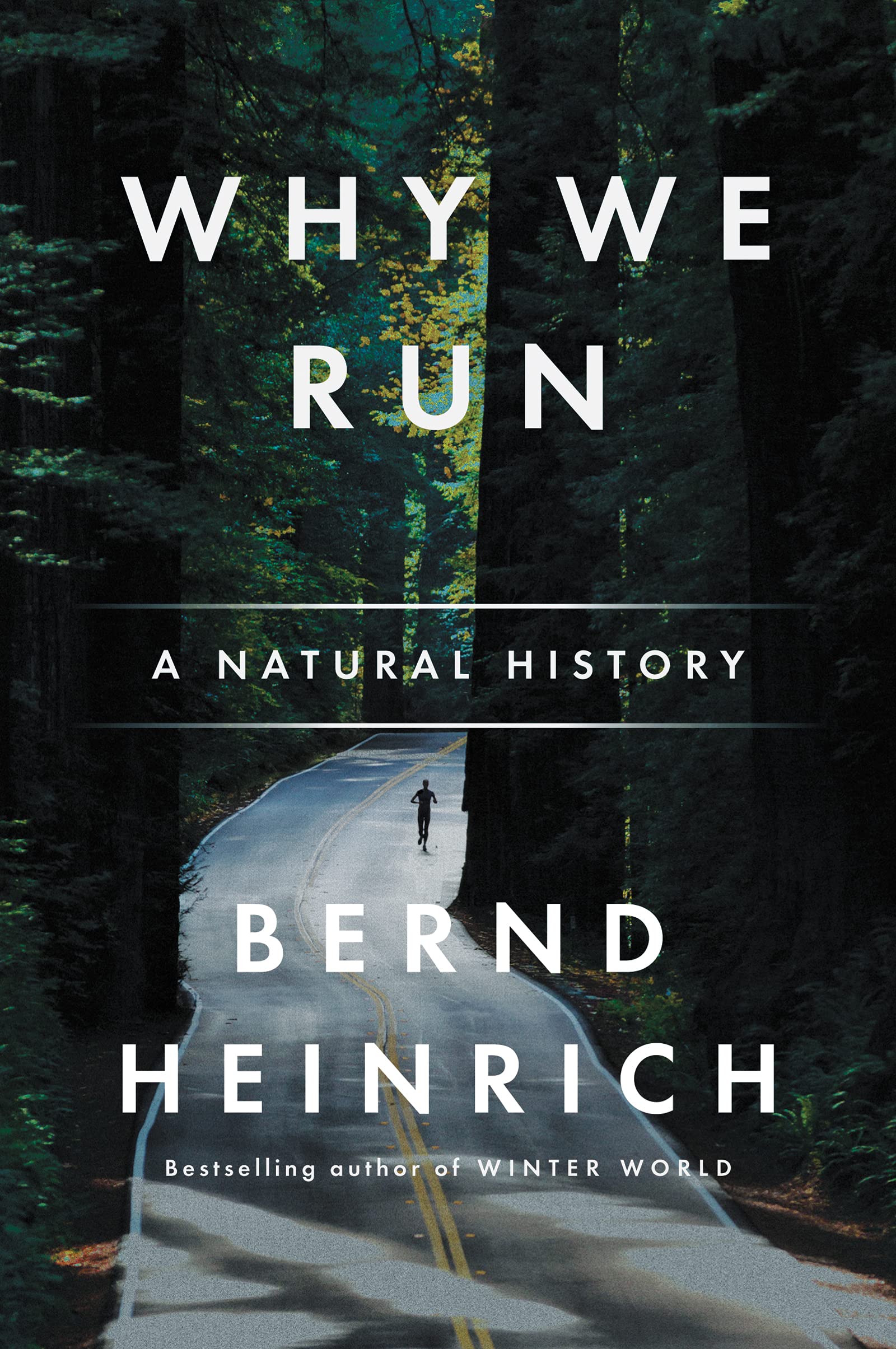 Algopix Similar Product 4 - Why We Run: A Natural History