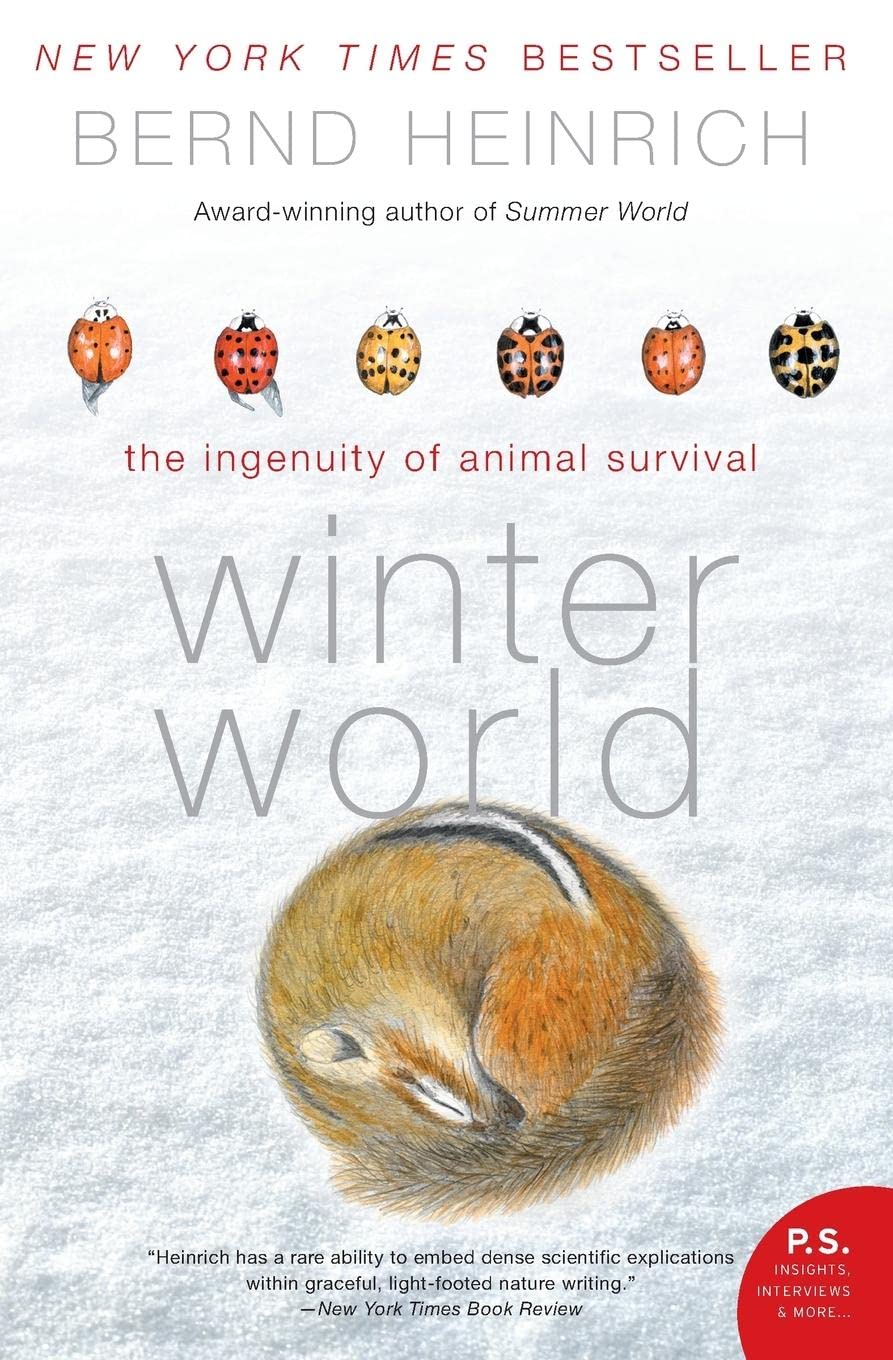 Algopix Similar Product 14 - Winter World The Ingenuity of Animal