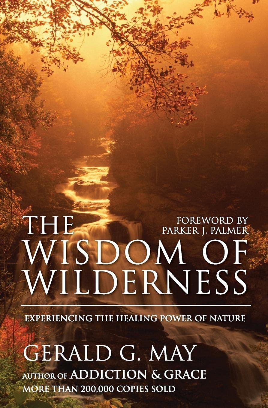 Algopix Similar Product 20 - The Wisdom of Wilderness Experiencing