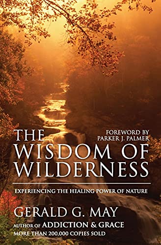 Algopix Similar Product 19 - The Wisdom of Wilderness Experiencing