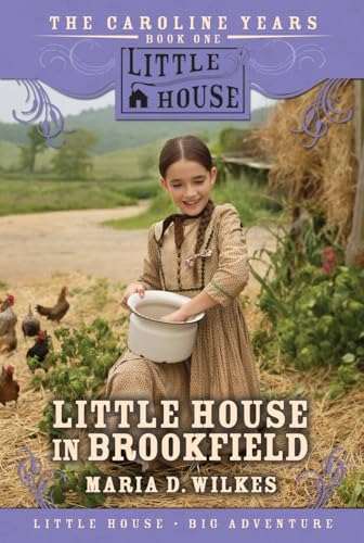 Algopix Similar Product 3 - Little House in Brookfield The