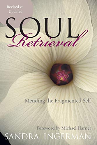 Algopix Similar Product 5 - Soul Retrieval Mending the Fragmented