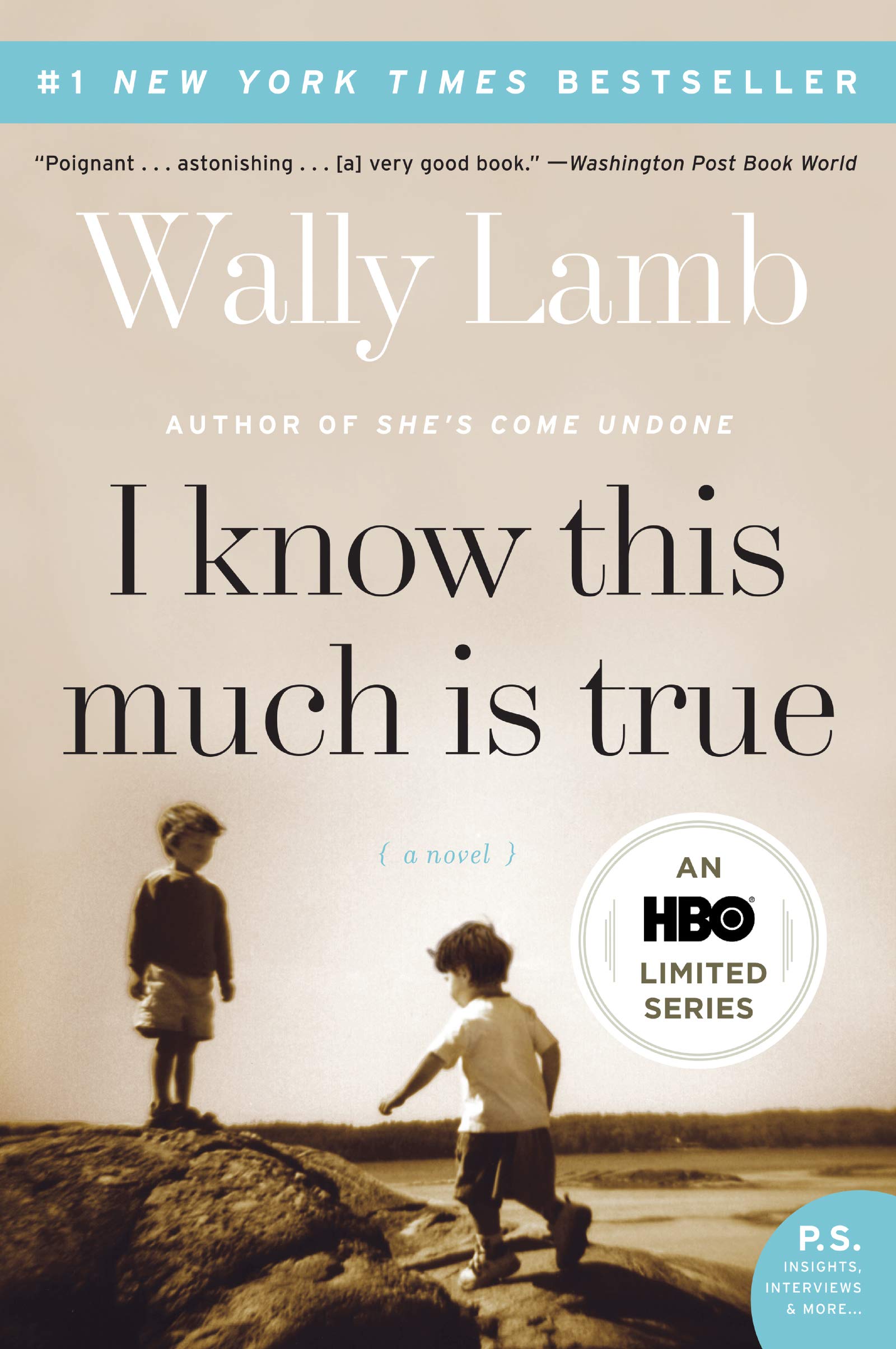 Algopix Similar Product 17 - I Know This Much Is True: A Novel (P.S.)