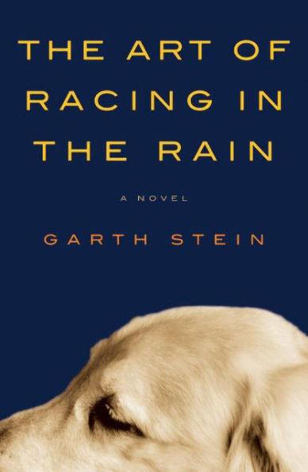 Algopix Similar Product 5 - The Art of Racing in the Rain
