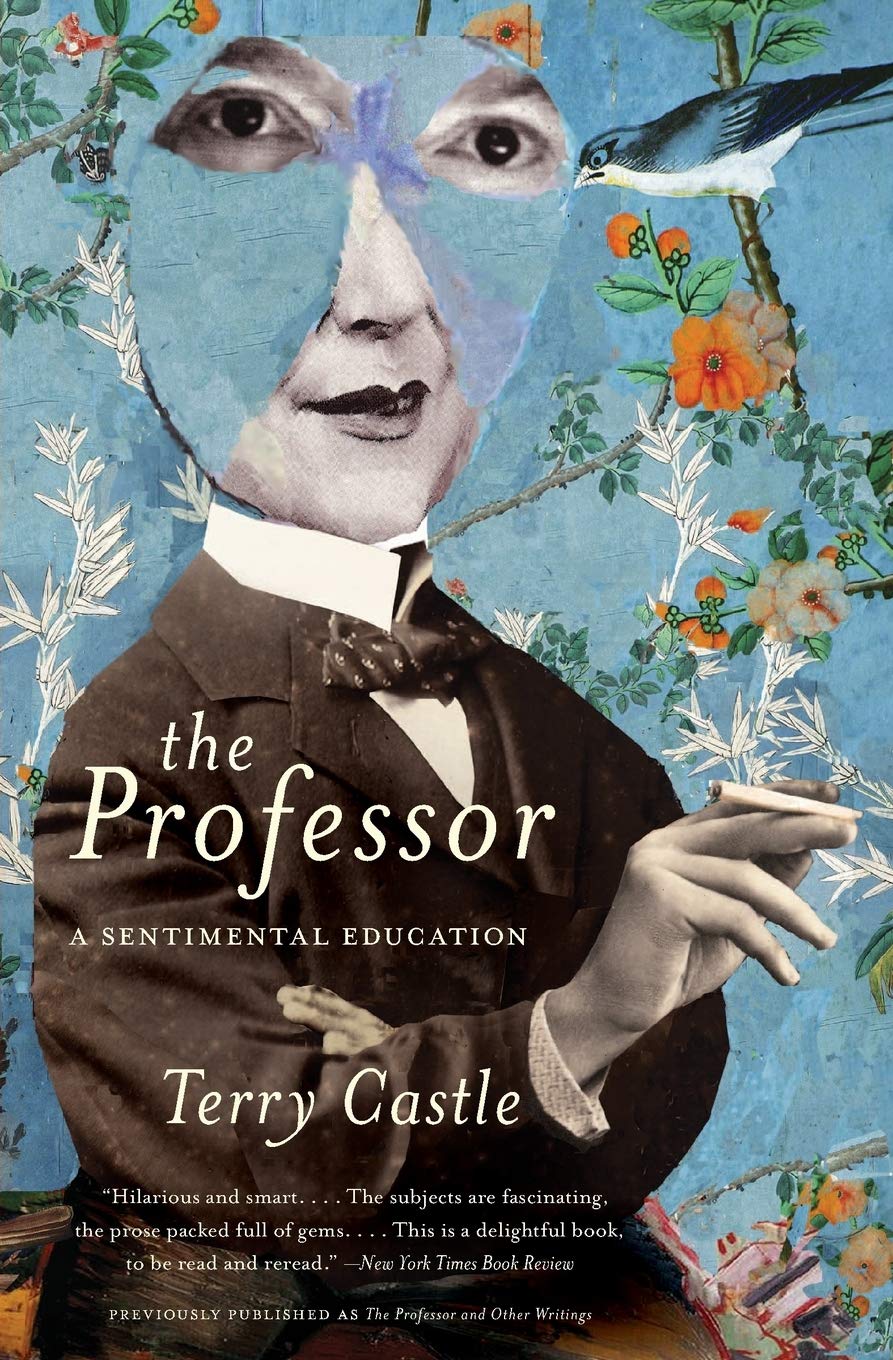 Algopix Similar Product 13 - The Professor: A Sentimental Education