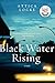 Algopix Similar Product 19 - Black Water Rising A Novel Jay Porter