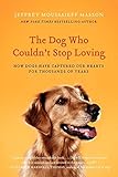 Algopix Similar Product 12 - The Dog Who Couldnt Stop Loving How