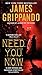 Algopix Similar Product 12 - Need You Now (Andie Henning)