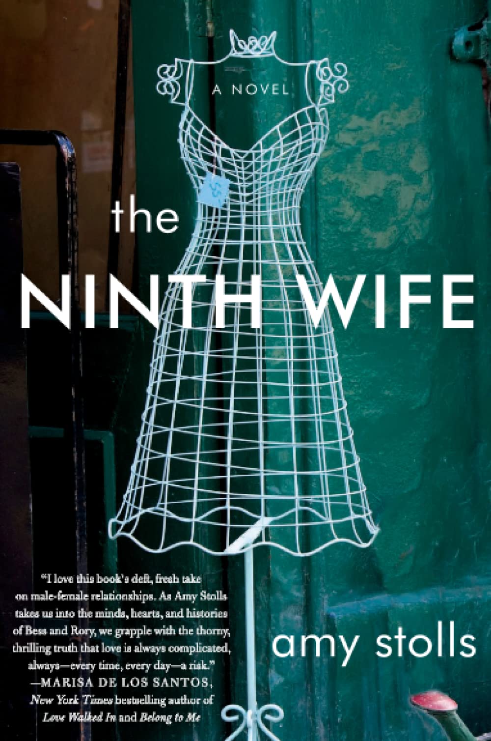 Algopix Similar Product 8 - Ninth Wife, The: A Novel