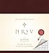 Algopix Similar Product 13 - NRSV XL with Apocrypha (burgundy)