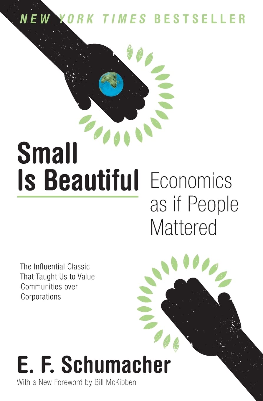 Algopix Similar Product 9 - Small Is Beautiful Economics as if