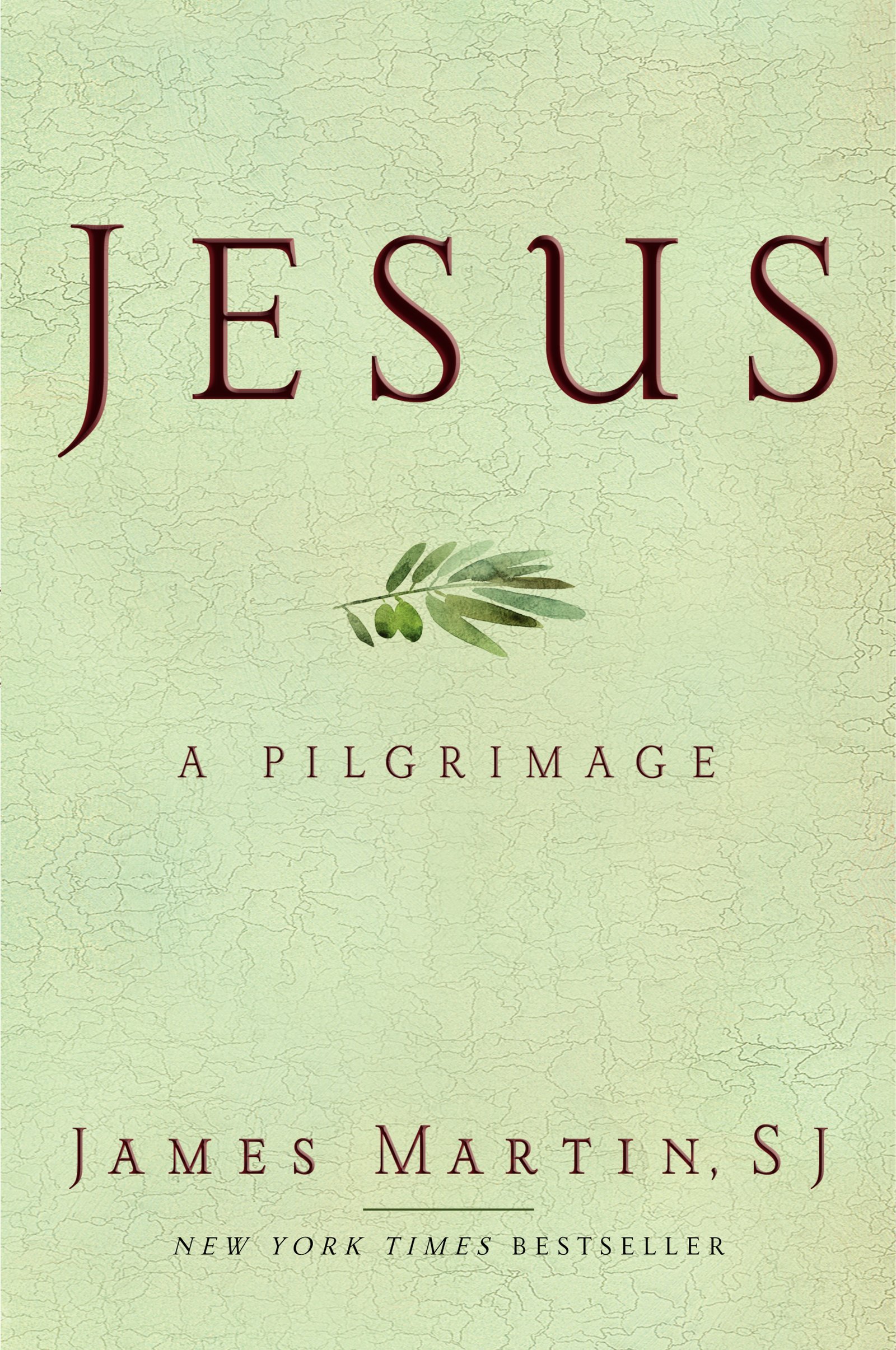 Algopix Similar Product 4 - Jesus: A Pilgrimage
