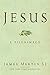 Algopix Similar Product 17 - Jesus: A Pilgrimage