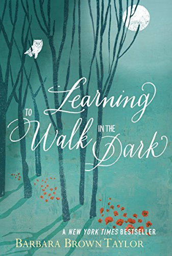 Algopix Similar Product 5 - Learning to Walk in the Dark