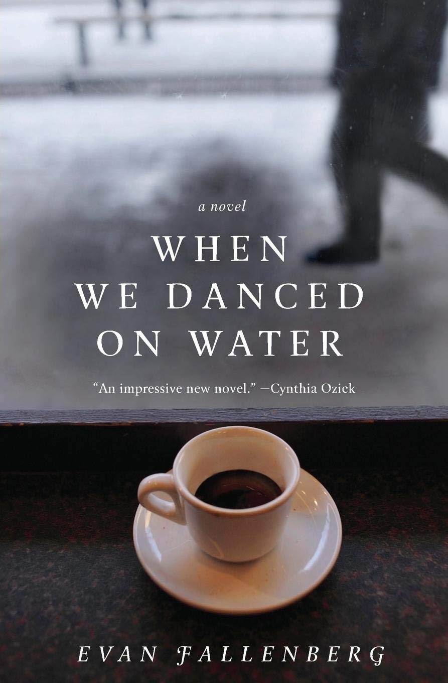 Algopix Similar Product 5 - When We Danced on Water: A Novel