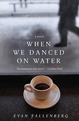 Algopix Similar Product 5 - When We Danced on Water: A Novel