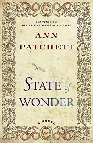 Algopix Similar Product 4 - State of Wonder