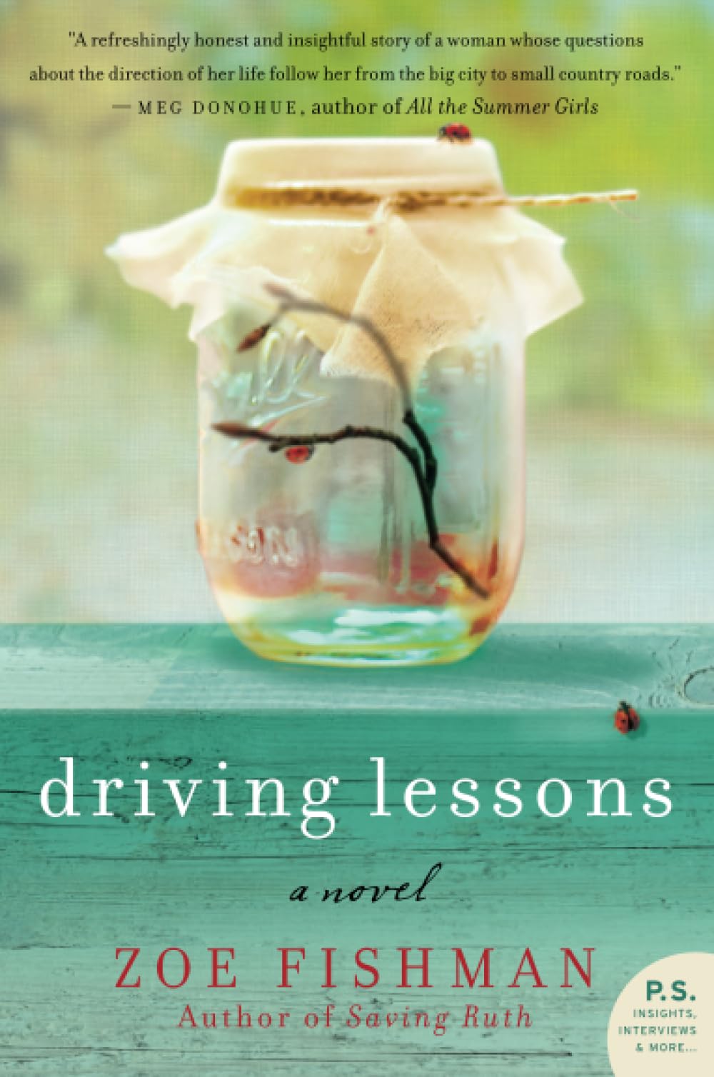 Algopix Similar Product 4 - DRIVING LESSONS (P.S.)