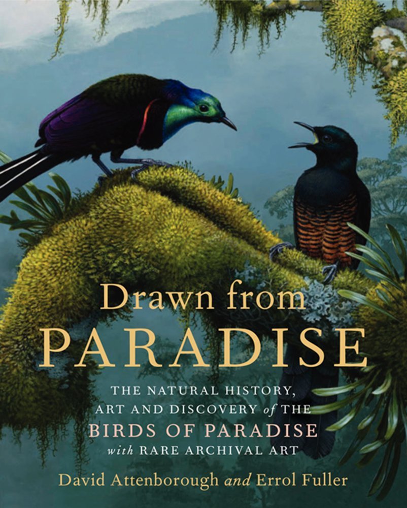 Algopix Similar Product 8 - Drawn From Paradise The Discovery Art