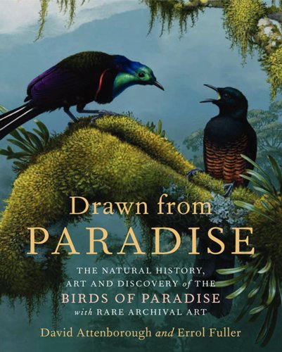 Algopix Similar Product 10 - Drawn From Paradise The Discovery Art