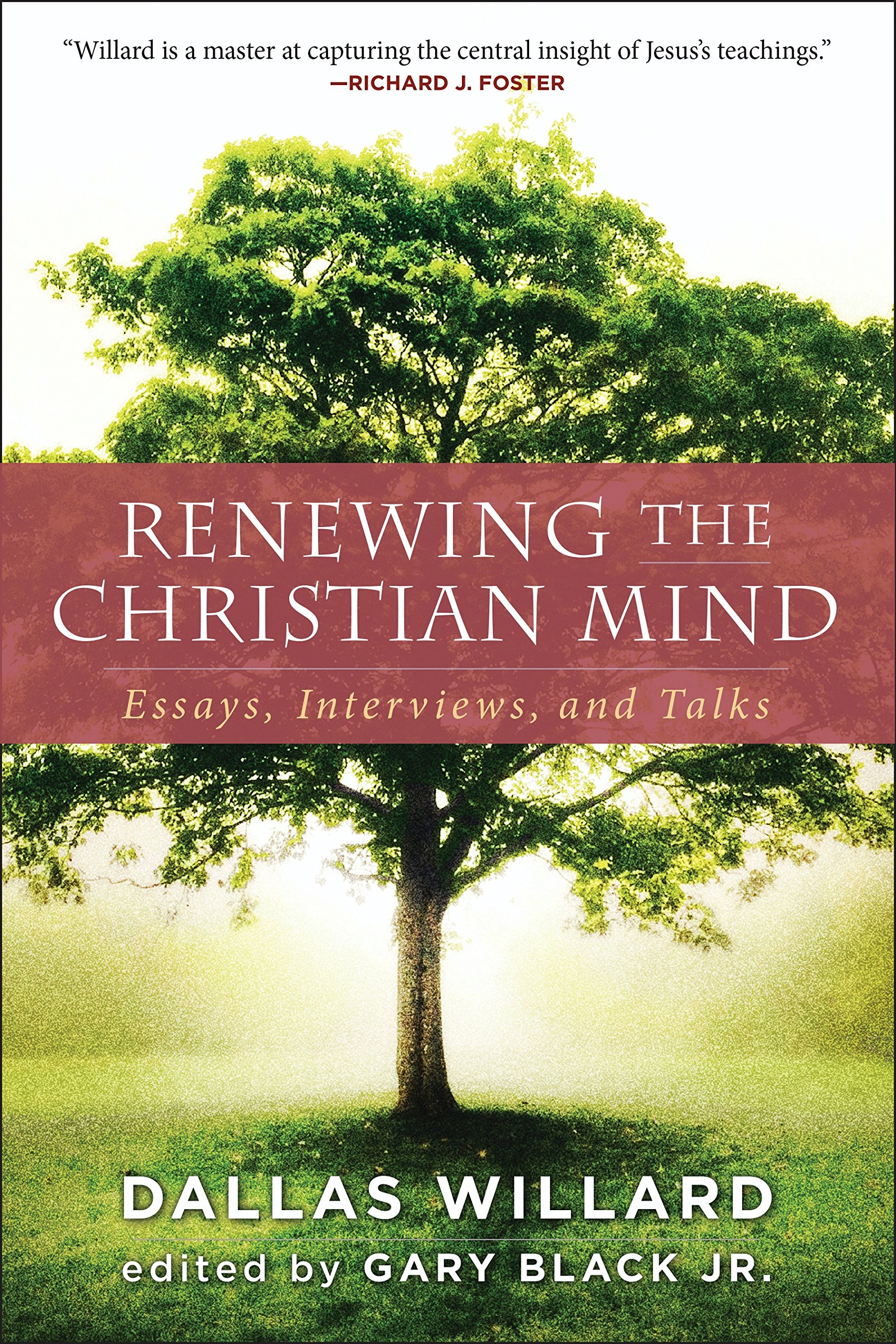 Algopix Similar Product 20 - Renewing the Christian Mind Essays