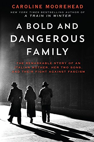 Algopix Similar Product 20 - A Bold and Dangerous Family The