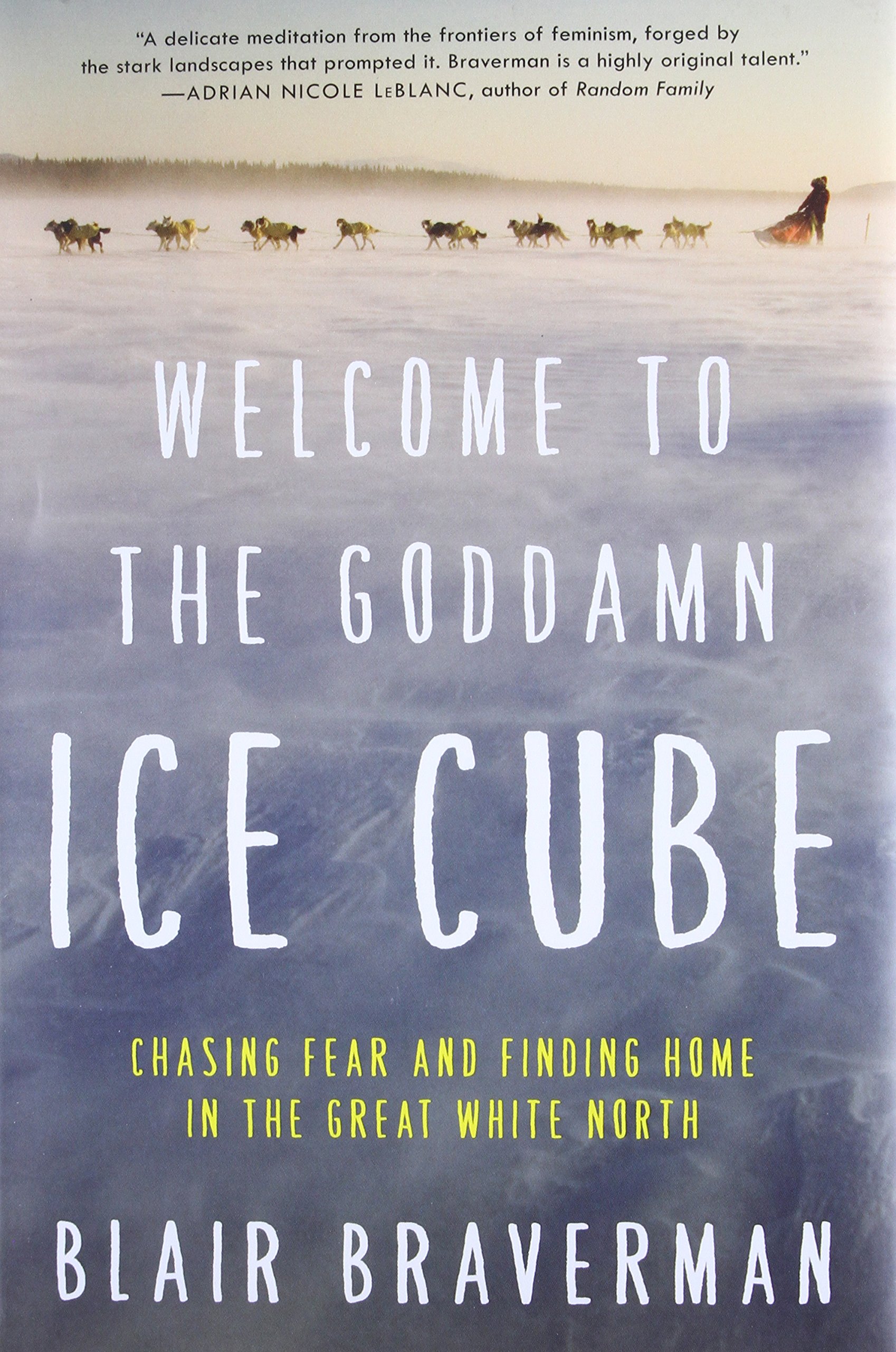 Algopix Similar Product 4 - Welcome to the Goddamn Ice Cube