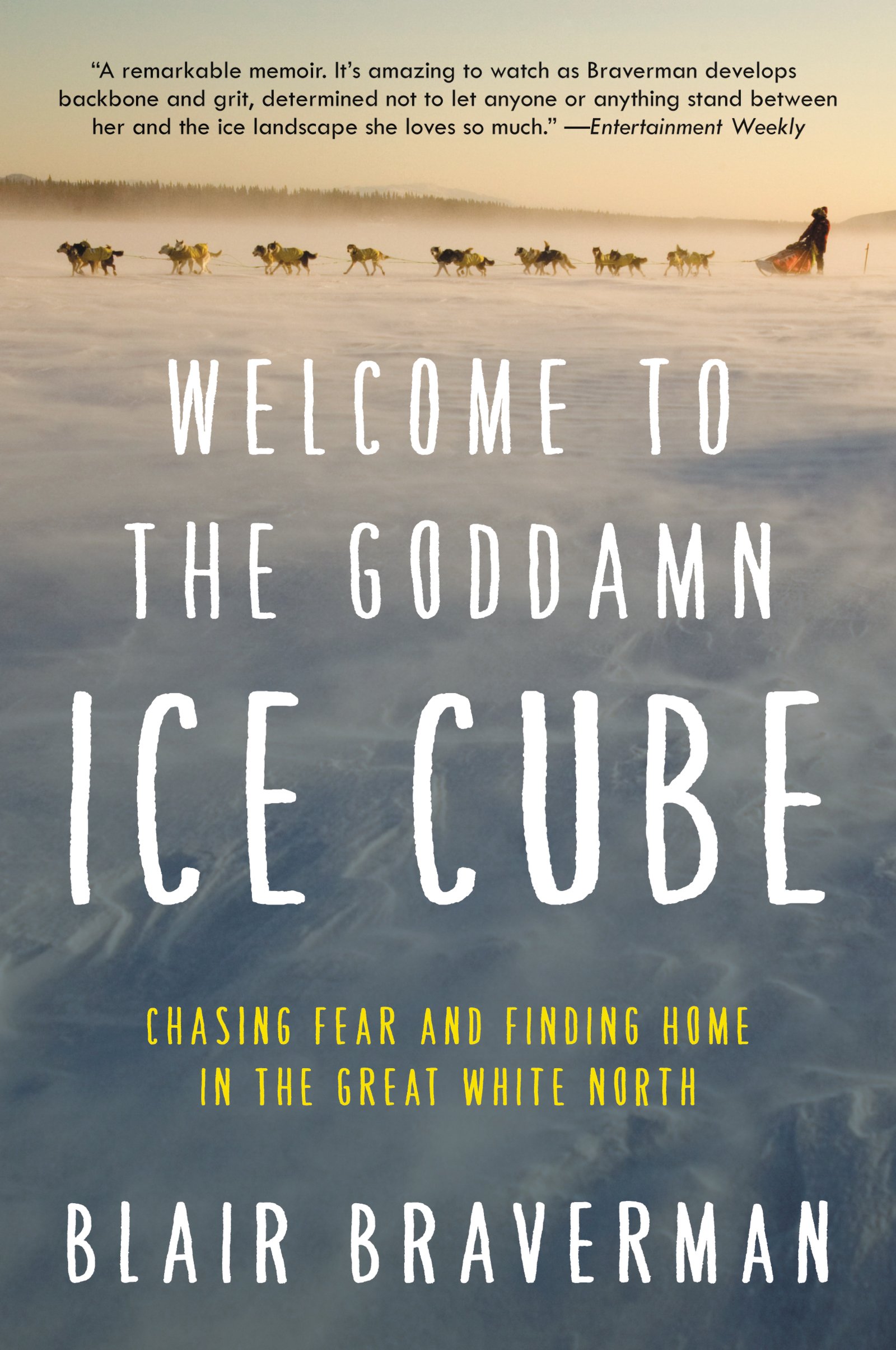 Algopix Similar Product 17 - Welcome to the Goddamn Ice Cube