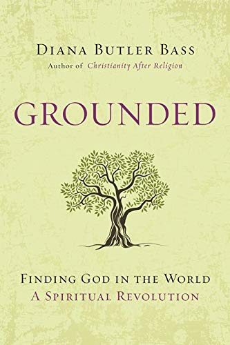 Algopix Similar Product 2 - Grounded Finding God in the WorldA