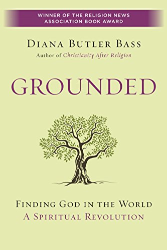 Algopix Similar Product 16 - Grounded Finding God in the WorldA