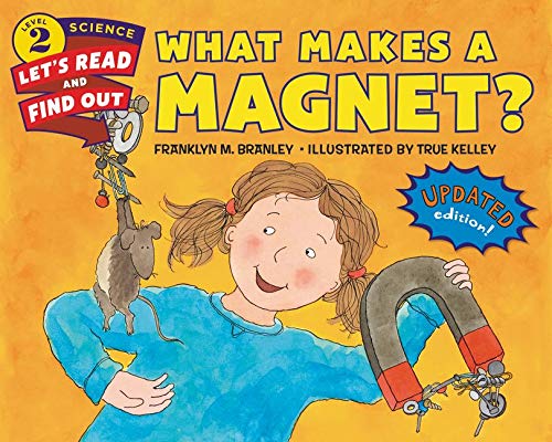 Algopix Similar Product 18 - What Makes a Magnet