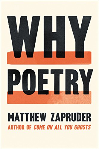 Algopix Similar Product 20 - Why Poetry