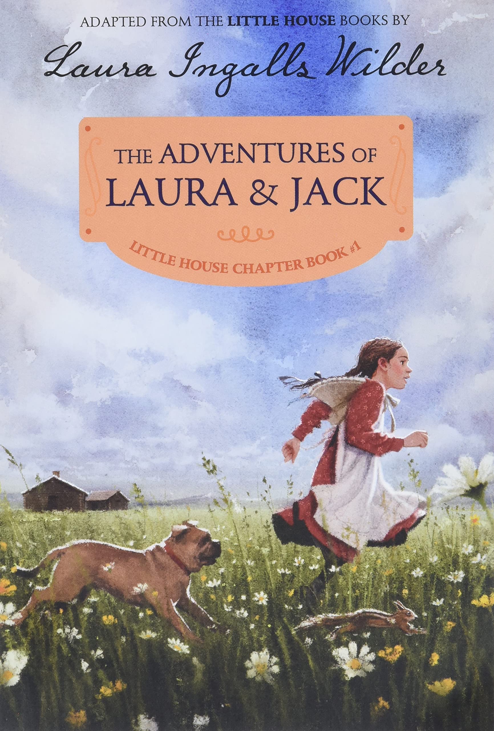 Algopix Similar Product 16 - The Adventures of Laura  Jack