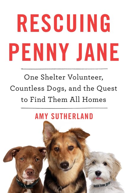 Algopix Similar Product 14 - Rescuing Penny Jane One Shelter