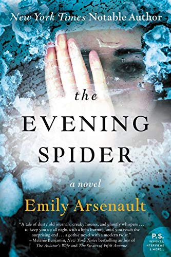 Algopix Similar Product 9 - The Evening Spider: A Novel