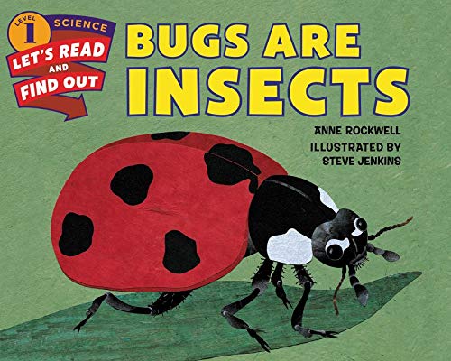 Algopix Similar Product 20 - Bugs Are Insects
