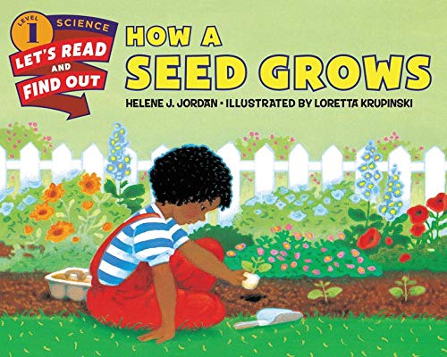 Algopix Similar Product 17 - How a Seed Grows