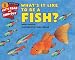 Algopix Similar Product 11 - Whats It Like to Be a Fish